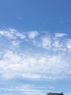 image-8f06a.jpg